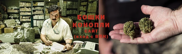 гашик Шали