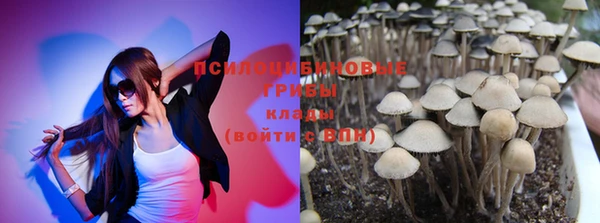 тгк Чекалин