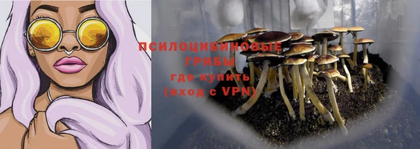 гидра Чердынь