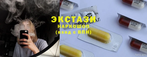 гидра Чердынь