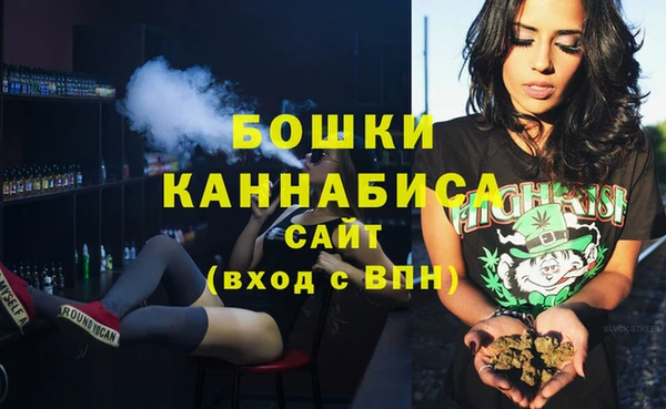 гидра Чердынь