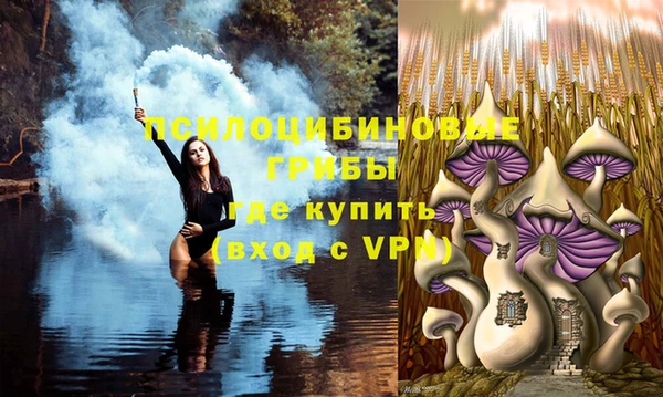 гашик Шали