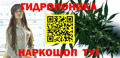 мдпв Волгодонск