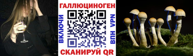 Псилоцибиновые грибы прущие грибы Черногорск
