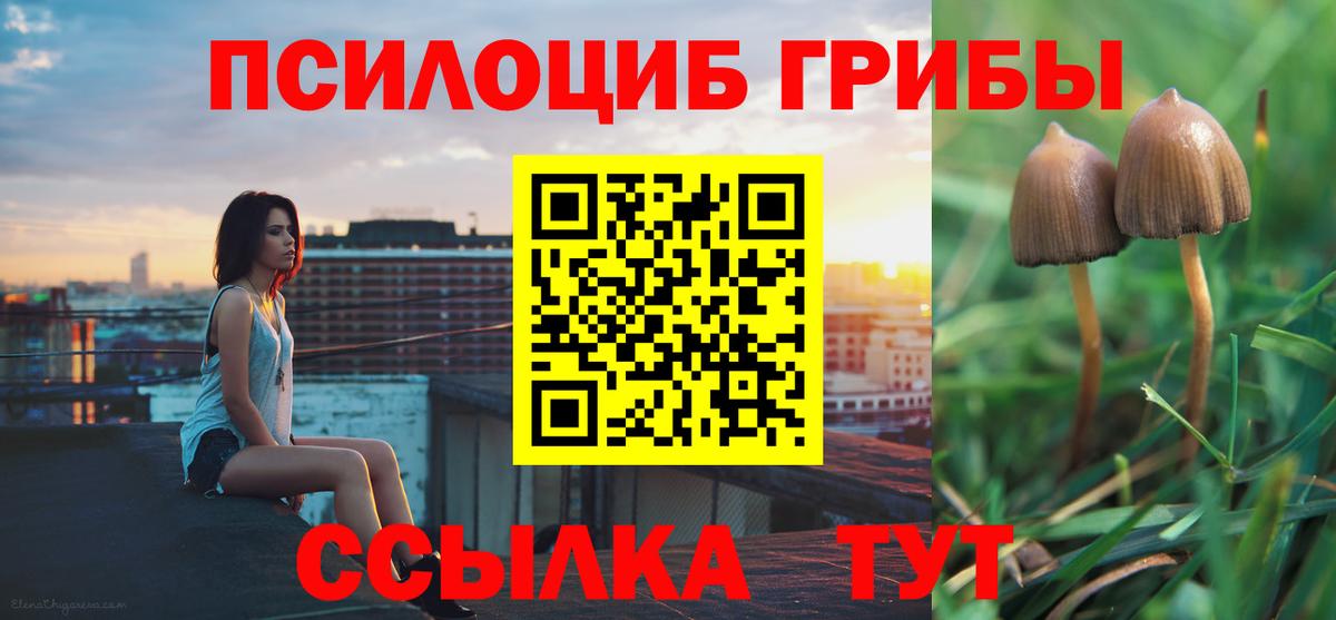 Галлюциногенные грибы GOLDEN TEACHER  Черногорск 