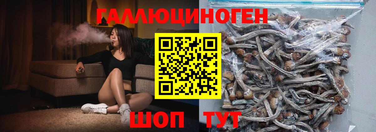 Галлюциногенные грибы прущие грибы Черногорск