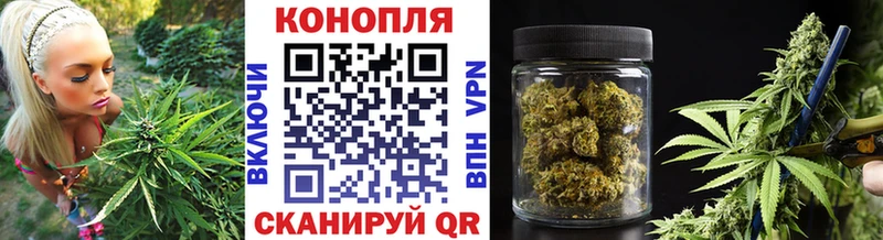 цены наркотик  mega зеркало  Бошки Шишки конопля  Черногорск 
